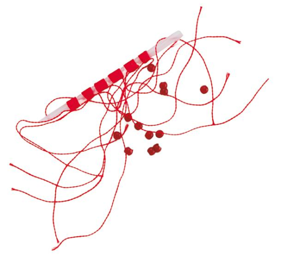 TOPE EVIA PESCA BOYA