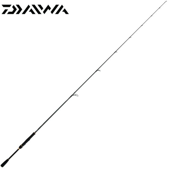 CANYA DAIWA STEEZ AGS