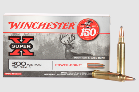 BALA WINCHESTER POWER POINT CAL. 300 WIN. MAG.