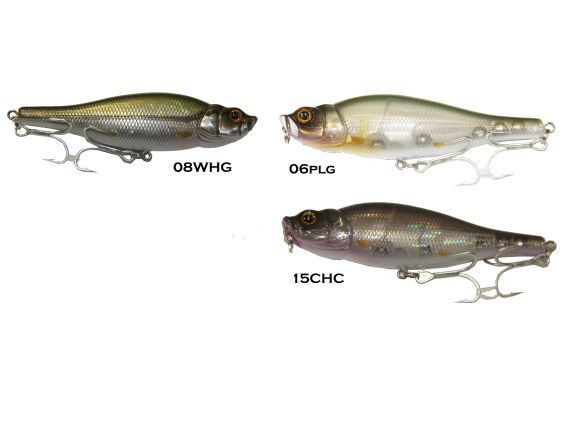 PASEANTE WHIPLASH SPITTIN WIRE