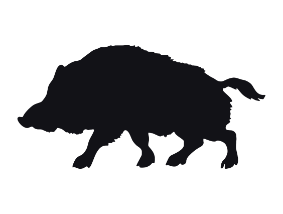 ADHESIVO JABALÍ NEGRO 