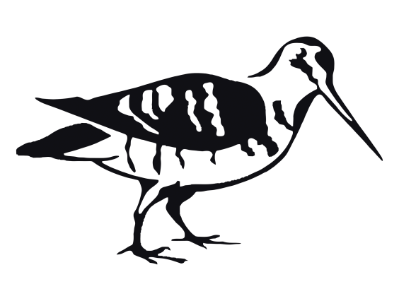 ADHESIVO BECADA NEGRO