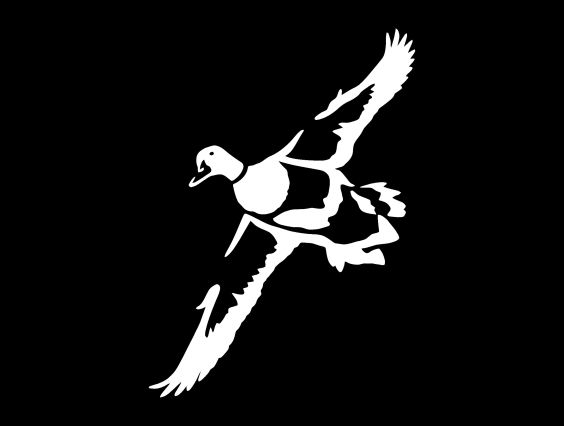 ADHESIVO PATO TRANSPARENTE