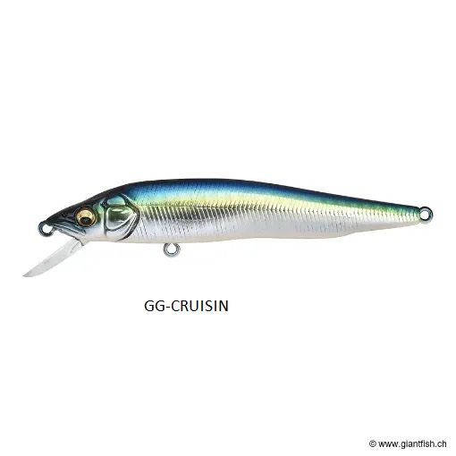 MEGABASS VISION 95 Q-GO 