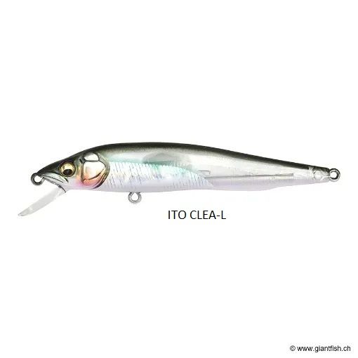 MEGABASS VISION 95 Q-GO 