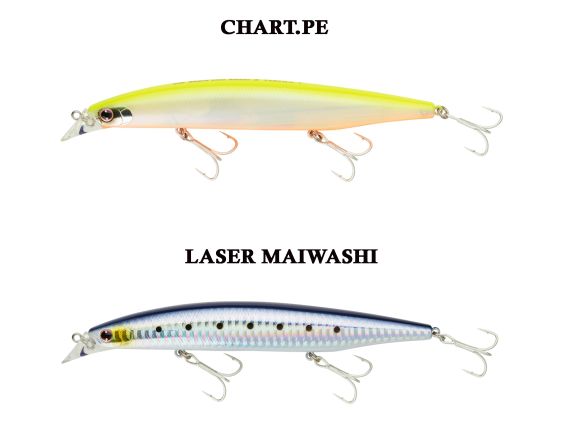 DAIWA TOURNAMENT SHORELINE SHINER Z VERTICE  