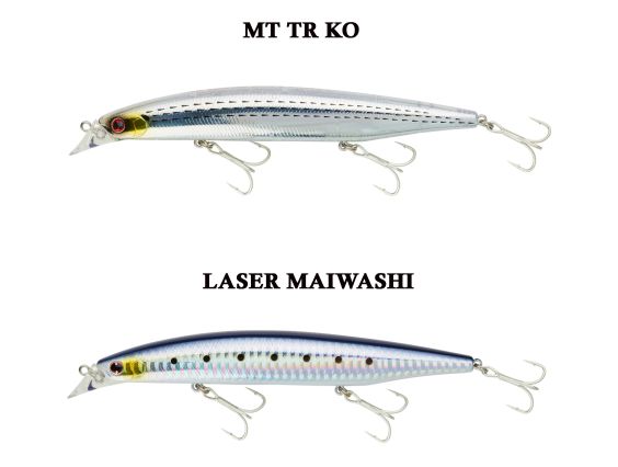 DAIWA TOURNAMENT SHORELINE SHINER Z VERTICE  