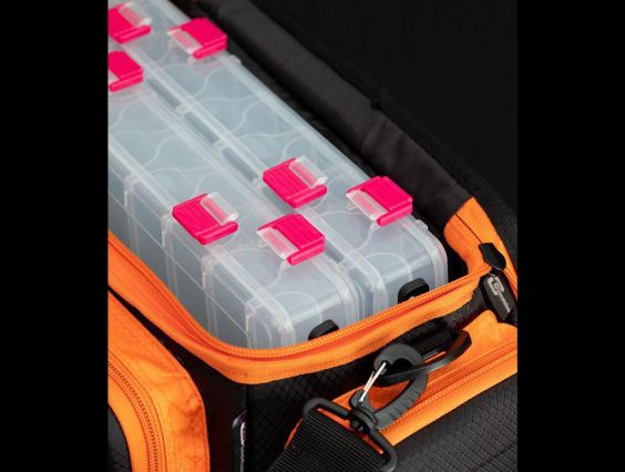 BOSSA CINNETIC EGING BACK