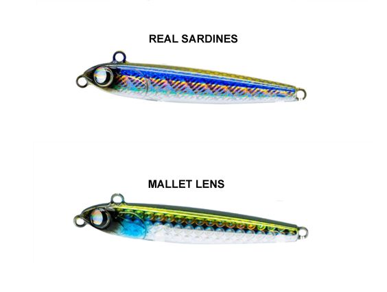 JUMPRIZE BUTTOBI KUN 75HS