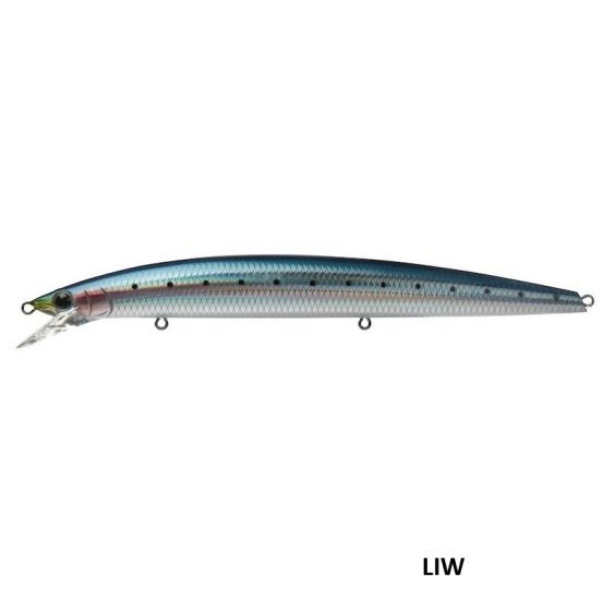 MINNOW JACKSON ATHLETE  