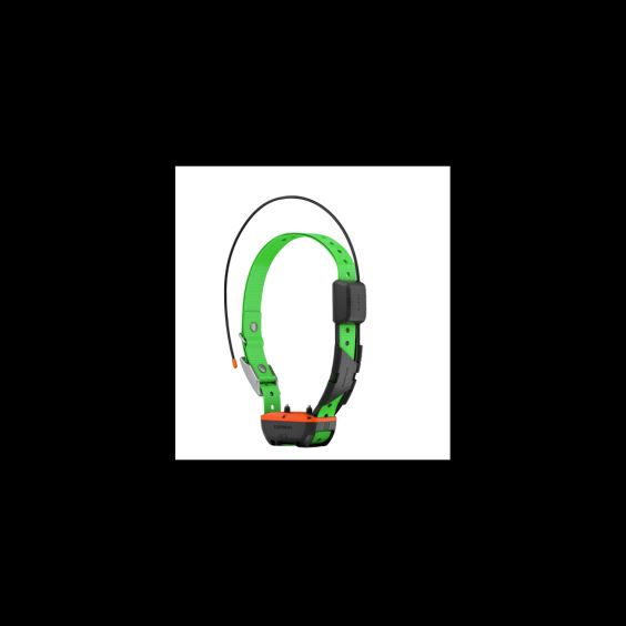 COLLAR GARMIN TT25