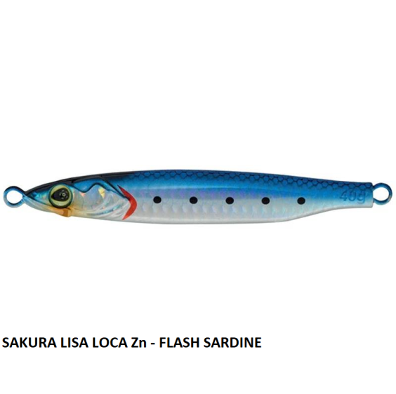 SAKURA LISA LOCA ZN 