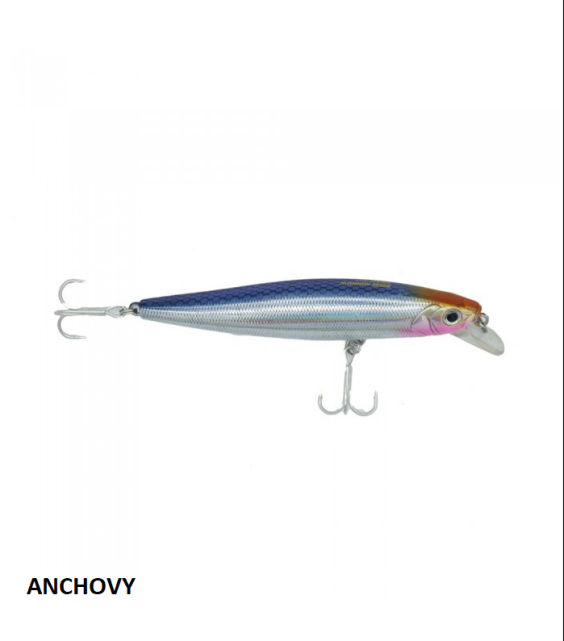 MINNOW BASSDAY MOGUL 