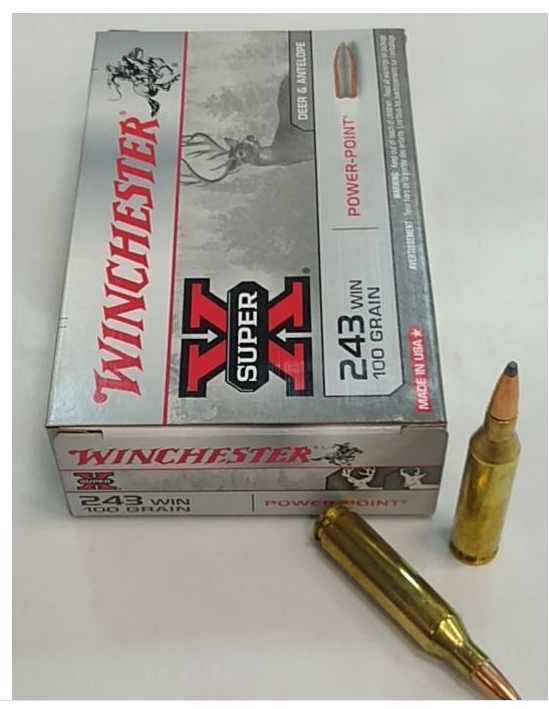 WINCHESTER 243 WIN POWER POINT SUPER X 100GR