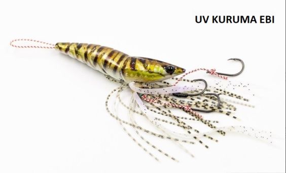 REAL FISHER SHRIMP RUBBER