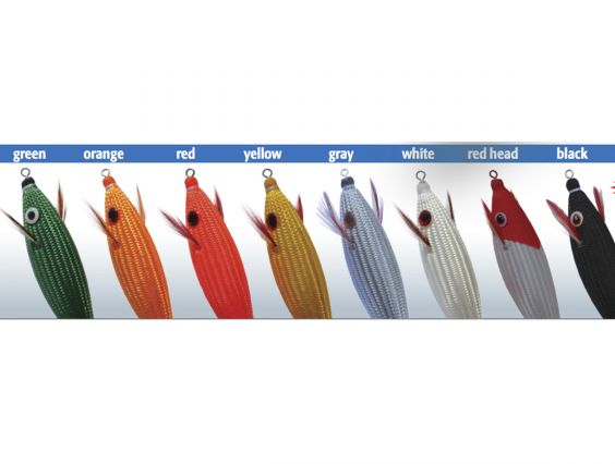 DTD COLOR GLAVOC 