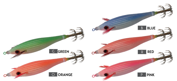 DTD COLOR GLAVOC 