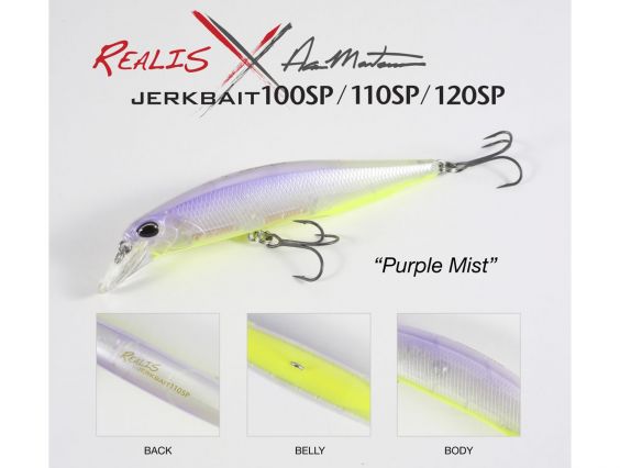 DUO REALIS LTD 