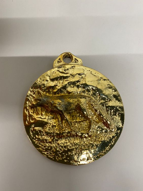 MEDALLA TROFEU GUINEU