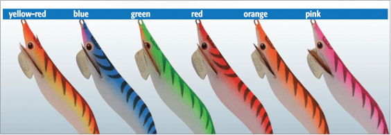 DTD CLASSIC OITA 