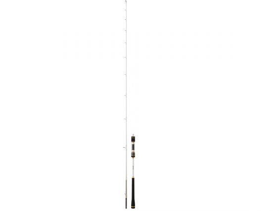 CANYA DAIWA MEGAFORCE JG (SPIN)