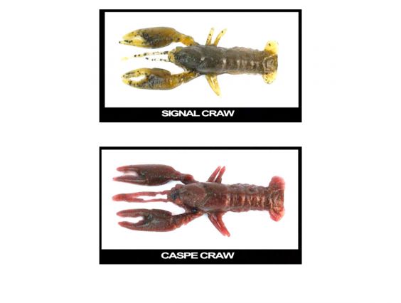 LONGASBAITS VERO CRAW